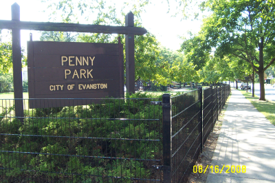 Custom Built Fence & Deck Image